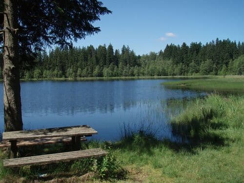 Rosenhoferteiche