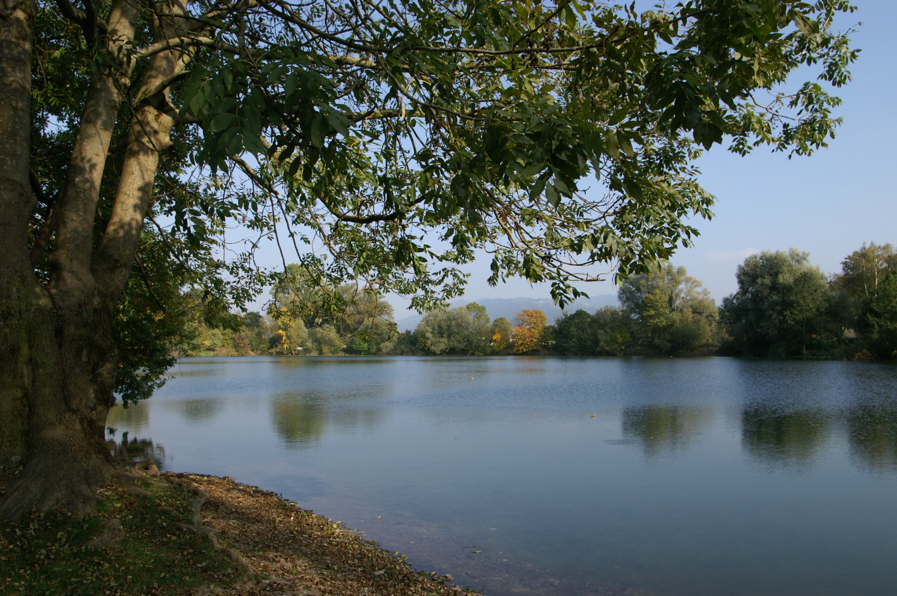 Jannersee