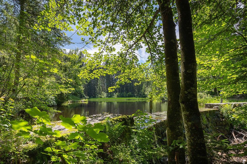 Bödelesee