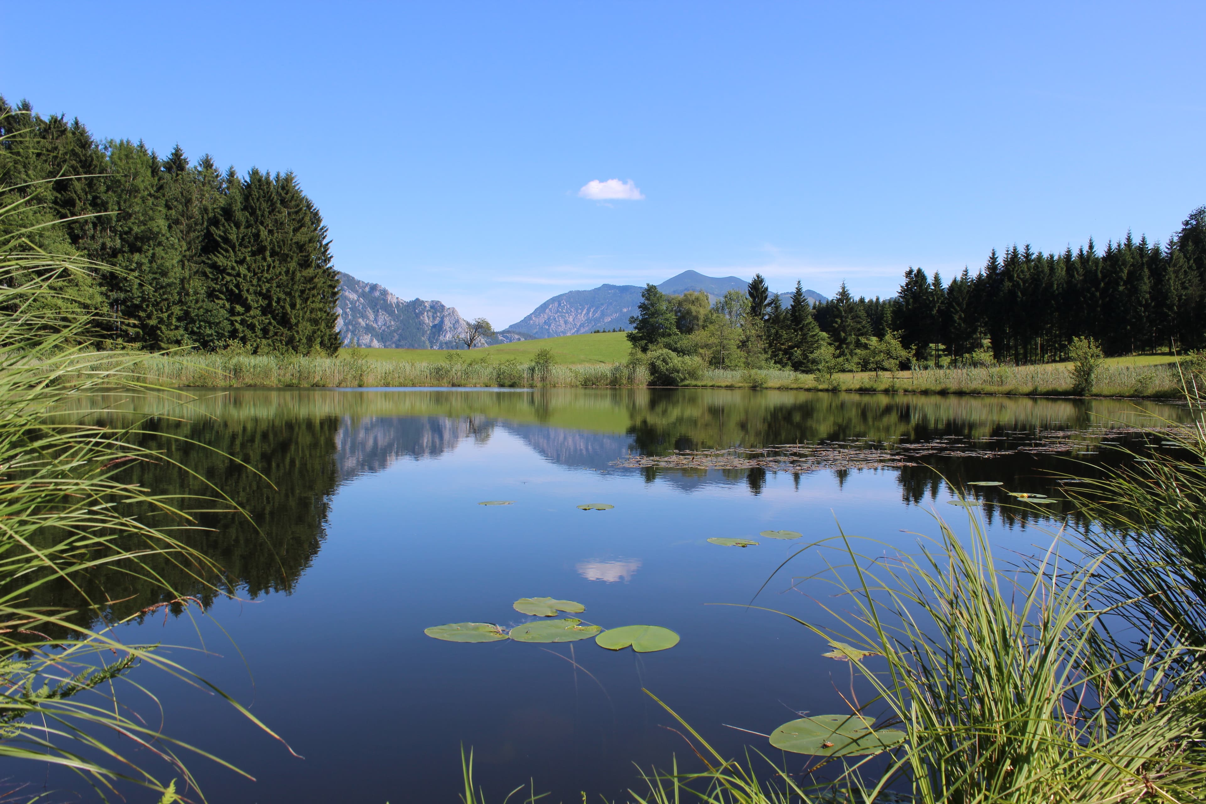Egelsee
