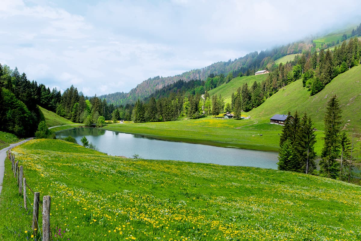 Leckner See