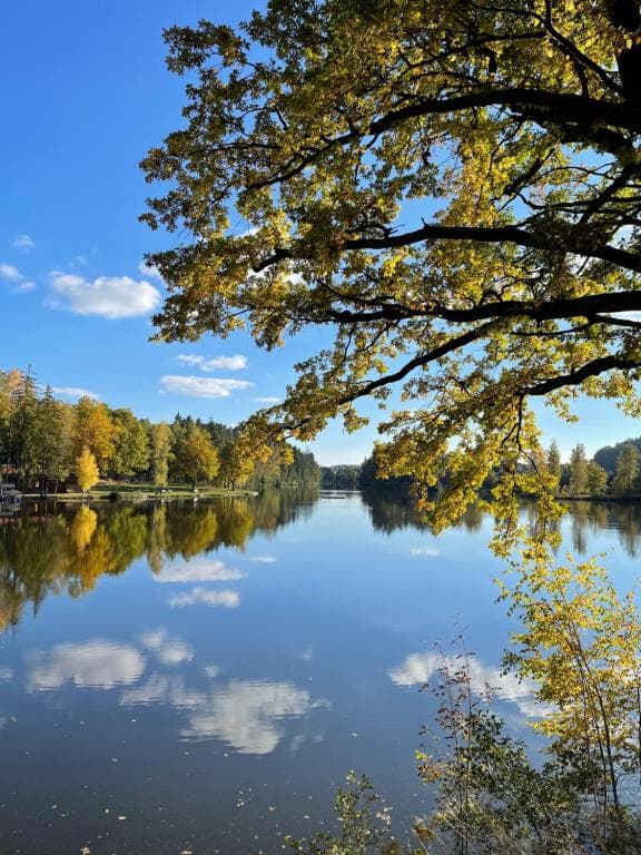 Herrensee (Litschau)